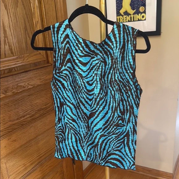 Blue and Brown Sleeveless Top Vintage - Picture 4 of 4